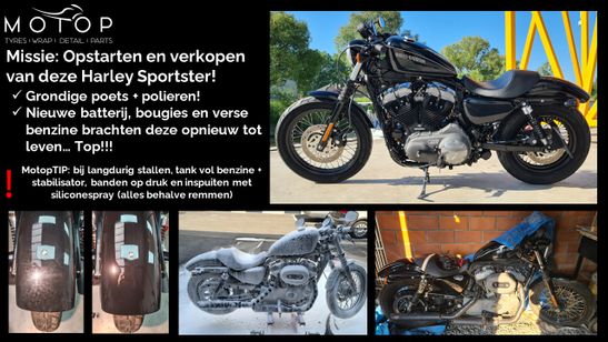 Harley Sportster - dieptereiniging + polieren